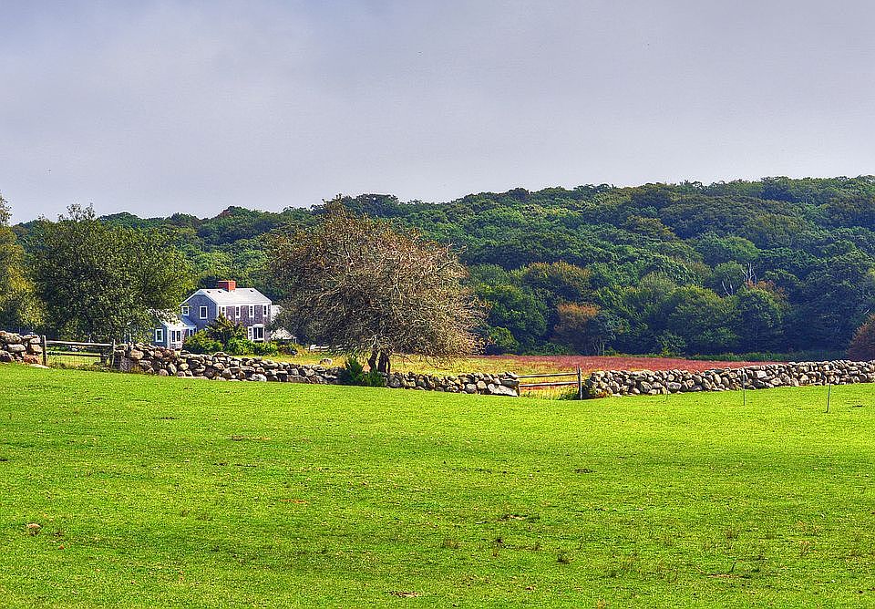Across Field to Homstead