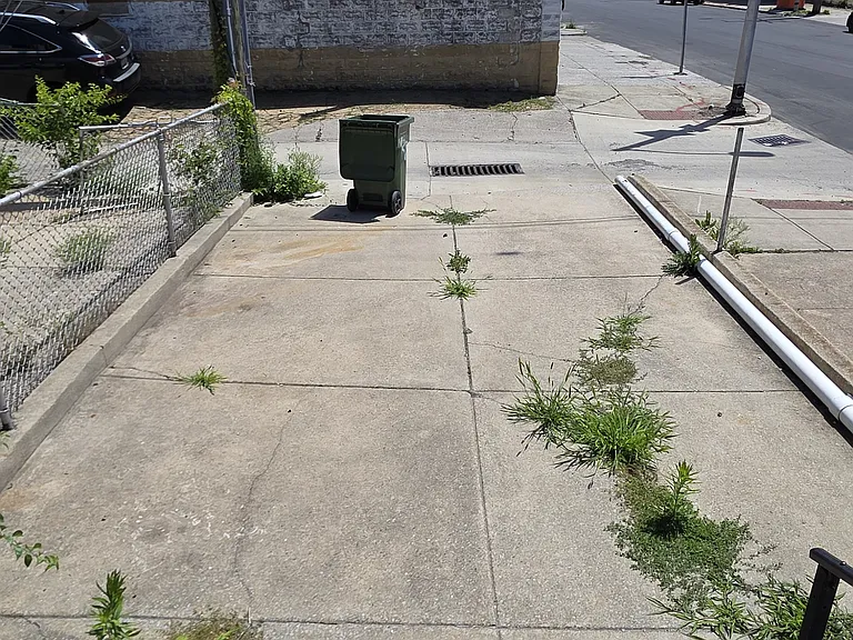 2133 W Mulberry St — Photo 17