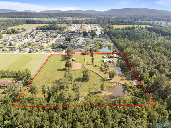 423 Hamer Rd, Owens Cross Roads, AL 35763