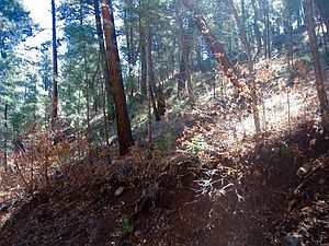 5th image of 211 Camelot Dr