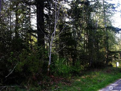 0 Go Onna, Quilcene, WA, 98376