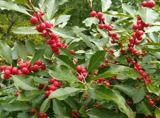 W2440 Hwy Ff, Sheboygan, WI 53083