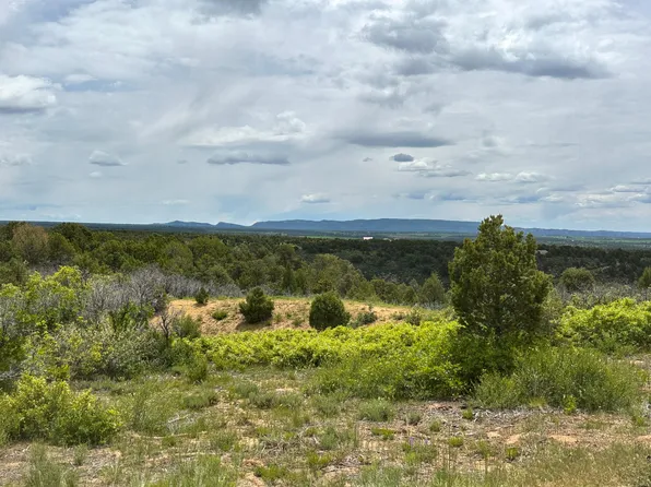 De Oro Way Lot 20, Hesperus, CO 81326