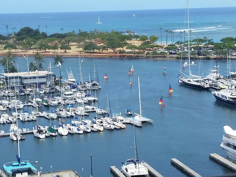 Yacht harbor, sailing school