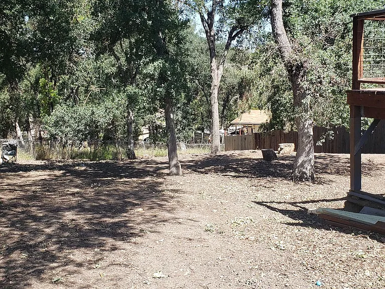 14984 Putnam Ln — Photo 18