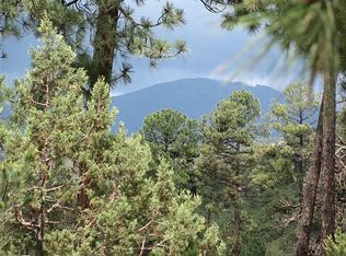 411 George P White Dr, Ruidoso, NM 88345