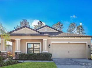 18656 Rococo Rd, Spring Hill, FL 34610