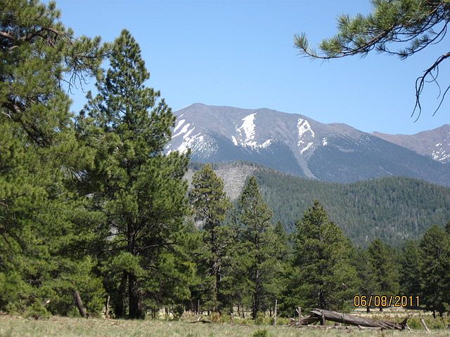 1st image of Crowley Park