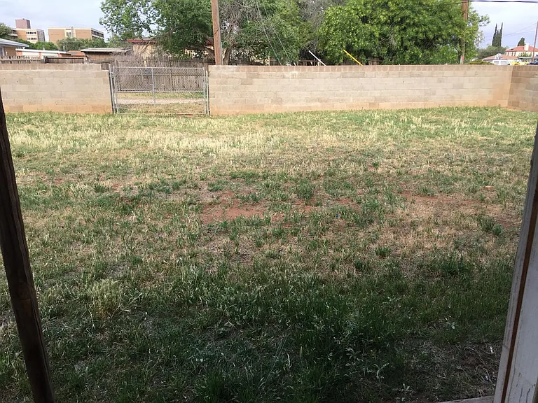 backyard