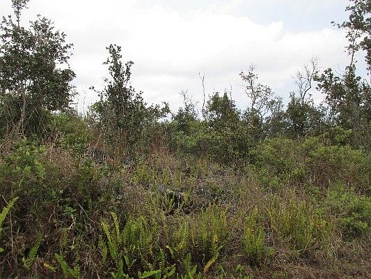 2nd image of Palm Pkwy Lot 13