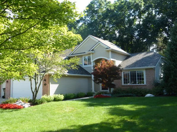 314 Clements Mill Ct SE, Ada, MI 49301