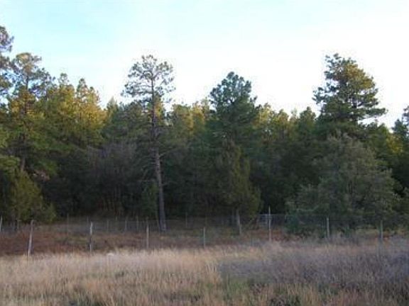 3rd image of 36 Verga Dr