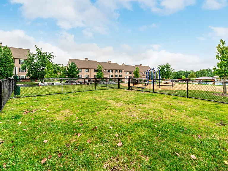 Spacious grassy dog park