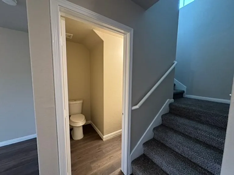 2906 Lavender Mdw — Photo 6