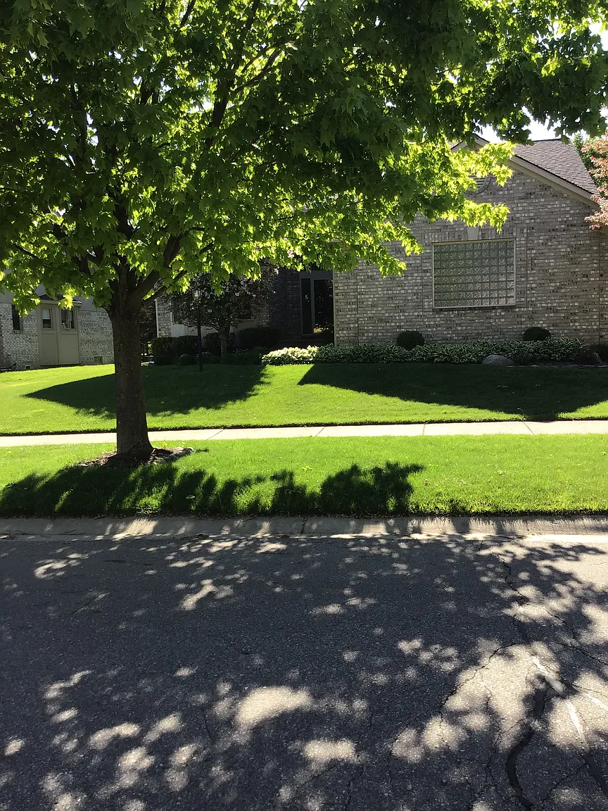 989 River Mist Dr photo 1