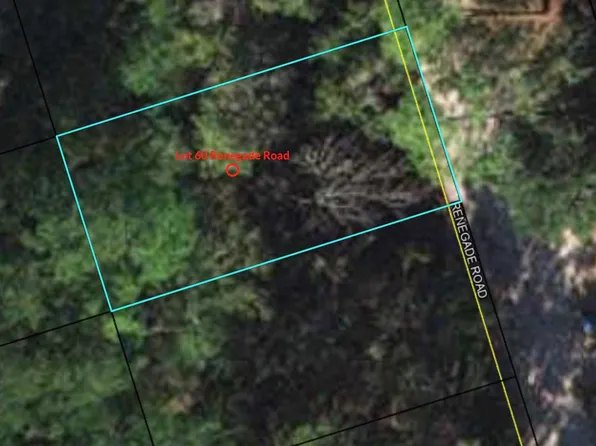 Xx Renegade Rd, Crawfordville, FL 32327