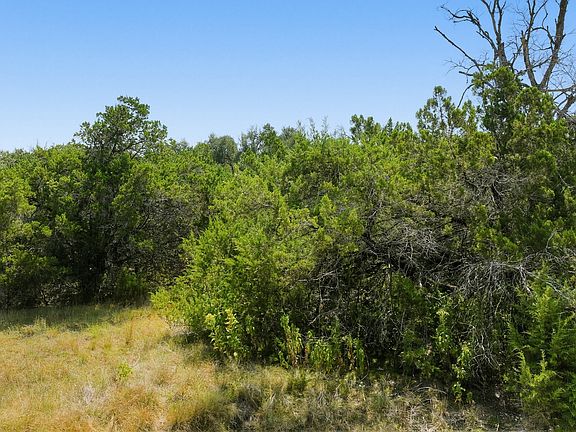 3rd image of 1007 Deer Run Pass LOT 209