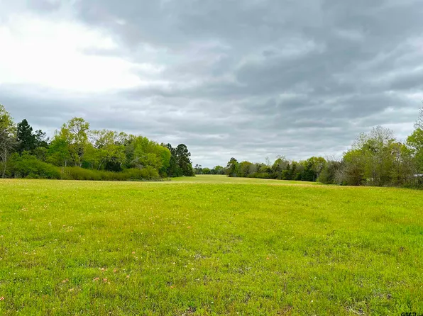 State Highway 204/cr #4401, Jacksonville, TX 75766