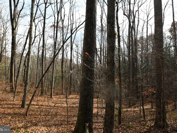 Middle Of No Way Ln, Castleton, VA 22716