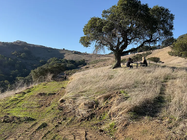 109 Rancho De La Rosa Rd — Photo 31