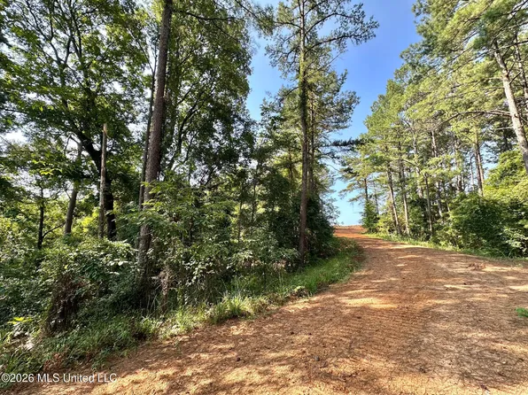 Highway 43, Ethel, MS 39067