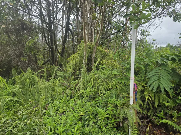 34th Ave Lot 53, Kurtistown, HI 96760