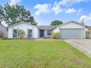 4016 Mountain Springs Ln, Tampa, FL 33624