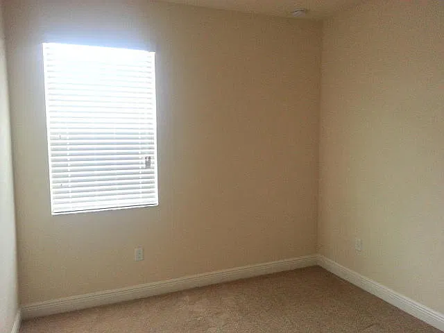8349 Kelsall Dr — Photo 4