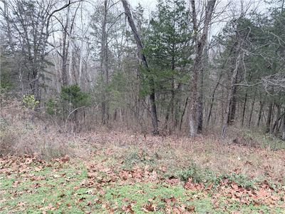 Baston Ln #11, Bella Vista, AR, 72715
