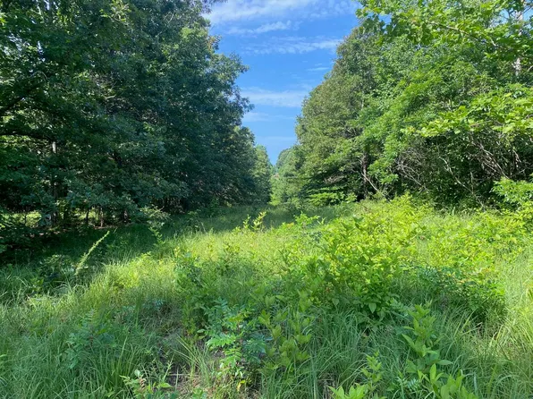 Sel Brooks Ln, Bethel Springs, TN 38315