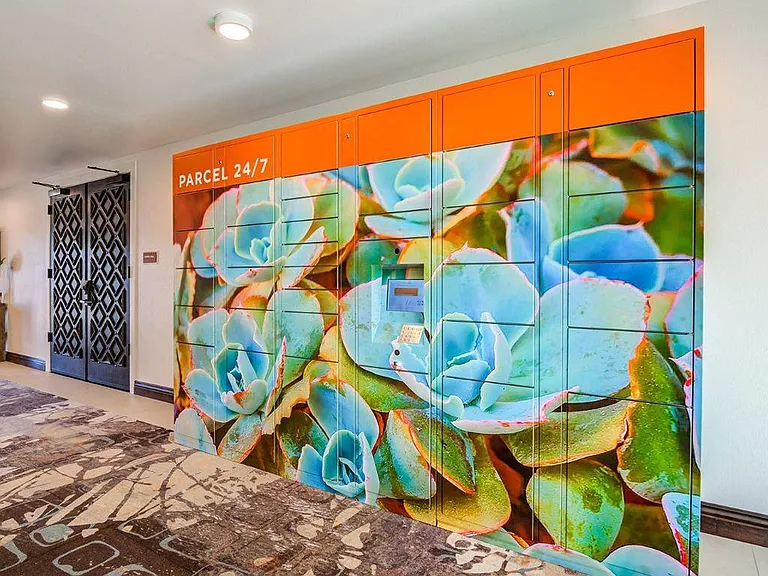 Haven at La Mesa — Photo 15