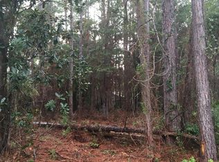 1067 Bay Dr, Santa Rosa Beach, FL 32459