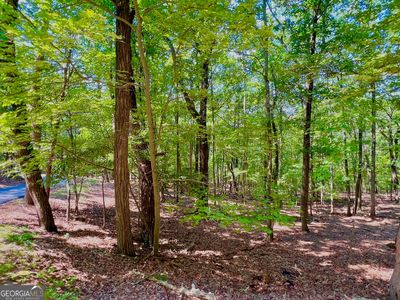 1481 Briar Vis, Jasper, GA, 30143