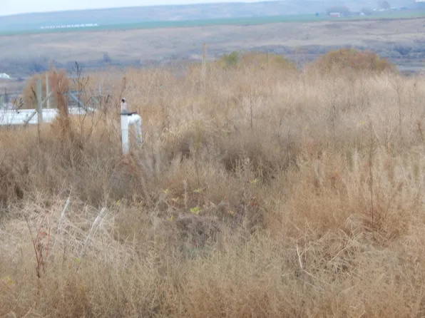 Rebecca Rd, Eltopia, WA 99330