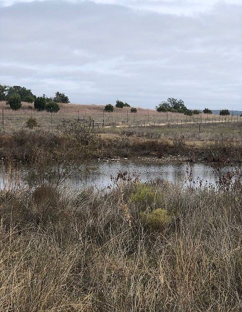 1st image of LOT 56 Fm 580