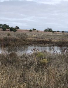 LOT 56 Fm 580 E, Lampasas, TX, 76550