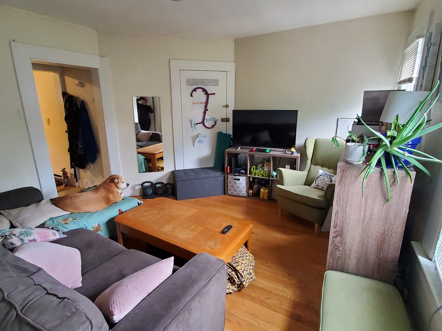 2 bed, $2,800 — Photo 4