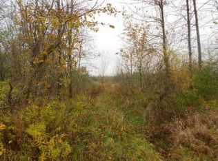 7568 Bray Rd, Vassar, MI 48768