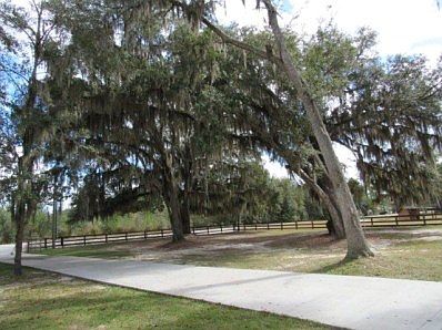 Beautiful Front Yard