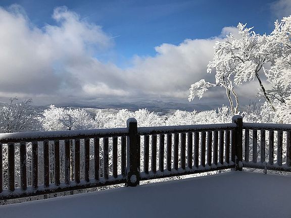 Rear view during winter