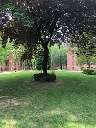 Sold by Peace of Mind Realty