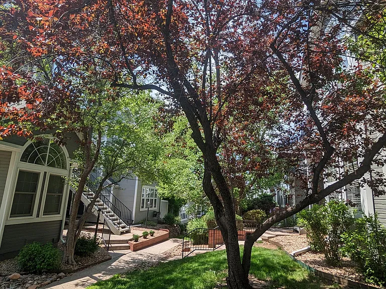 6775 S Ivy St #B7 — Photo 17