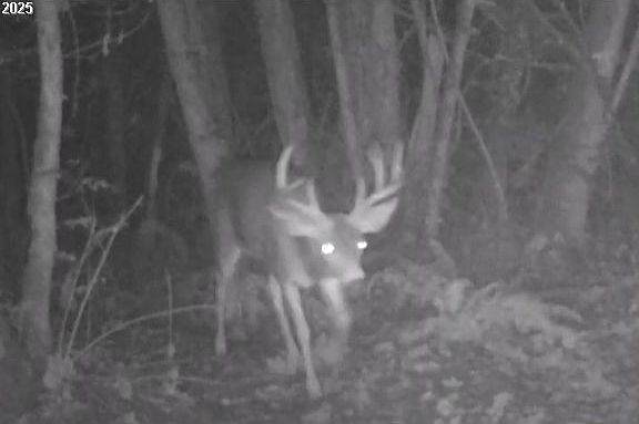 5th image of 72000 Clatskanie Heights Rd