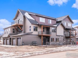 1734 Wildfire Rd #301, Estes Park, CO 80517