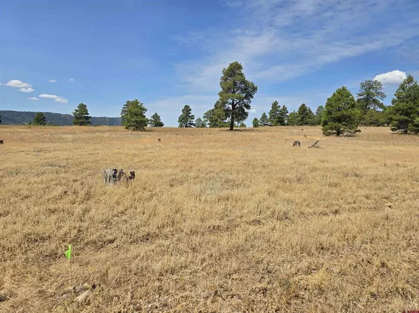 94 Greenway Drive, Pagosa Springs, CO 81147