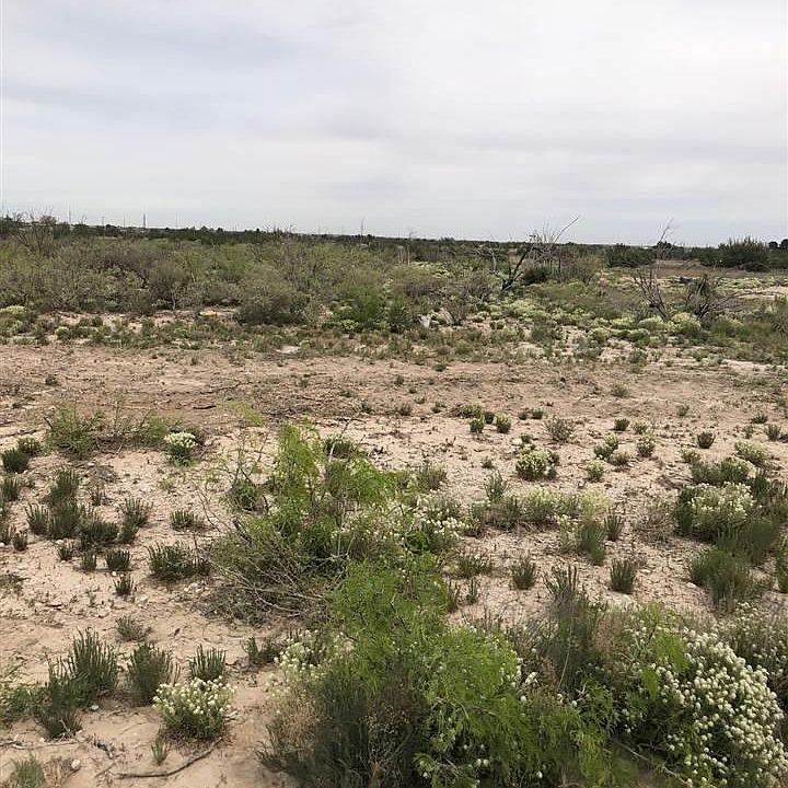 2nd image of 8119 Grandi Rd