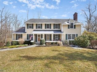 20 Old Mill Rd, Chester, NJ 07930
