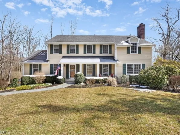 20 Old Mill Rd, Chester Twp., NJ 07930