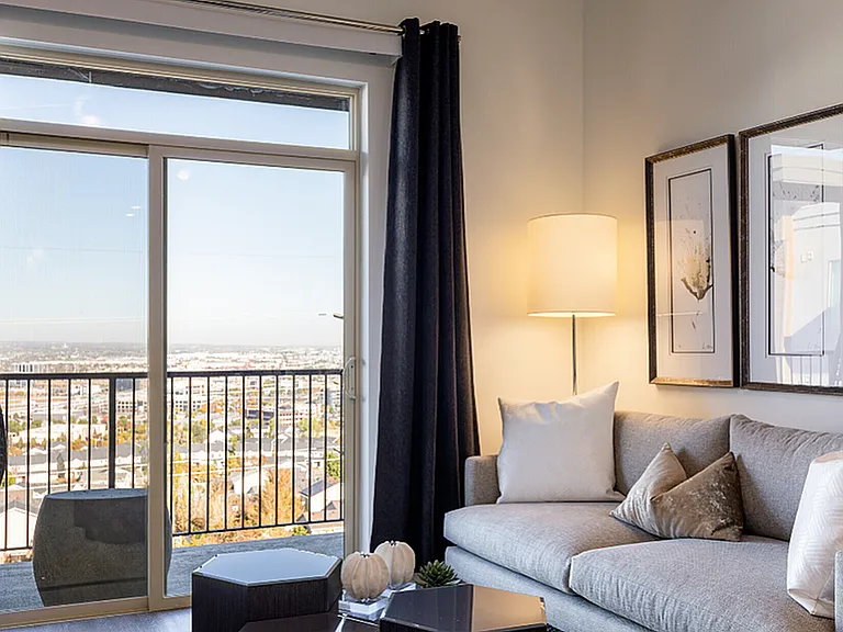 One Bedroom Suite