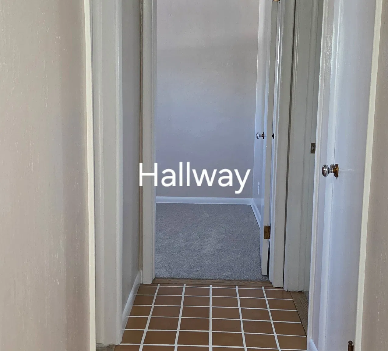 2 bed, 980 sqft, $1,600 — Photo 3